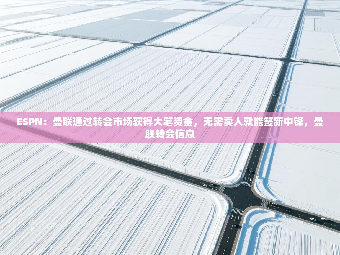 开云体育入口客服-ESPN：曼联通过转会市场获得大笔资金，无需卖人就能签新中锋，曼联转会信息  第3张